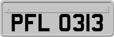 PFL0313