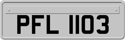PFL1103