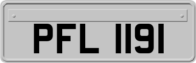 PFL1191