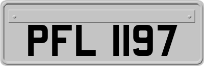 PFL1197
