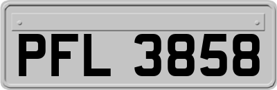 PFL3858