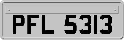 PFL5313