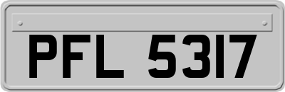 PFL5317