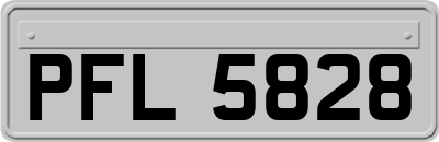 PFL5828