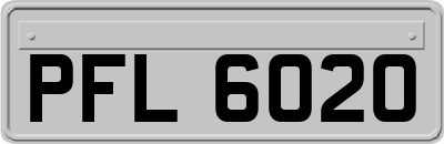 PFL6020