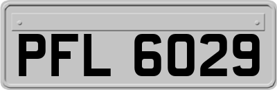 PFL6029