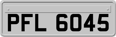 PFL6045