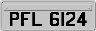 PFL6124