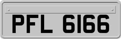 PFL6166