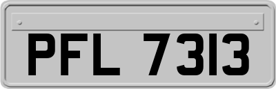 PFL7313
