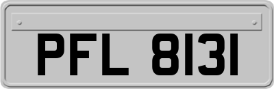PFL8131
