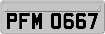 PFM0667