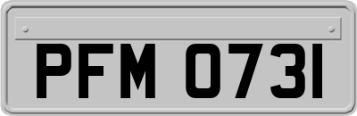 PFM0731