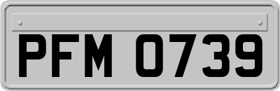 PFM0739