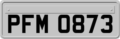 PFM0873