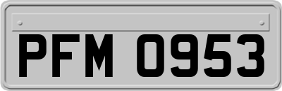PFM0953