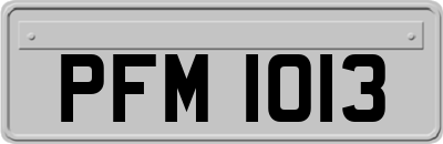 PFM1013