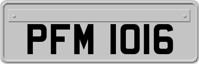 PFM1016