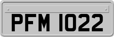 PFM1022