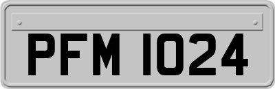 PFM1024