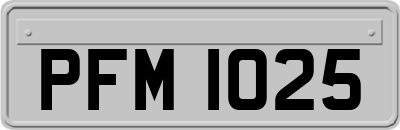 PFM1025