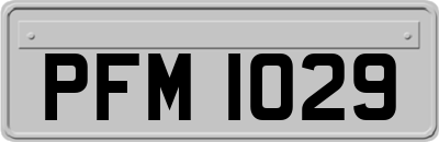 PFM1029