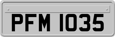 PFM1035
