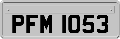 PFM1053