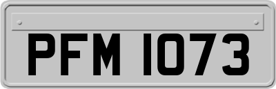 PFM1073