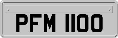 PFM1100