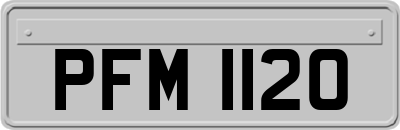 PFM1120
