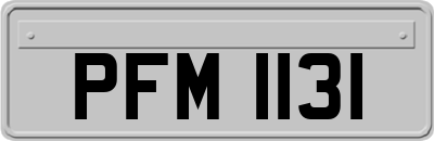 PFM1131