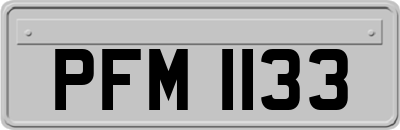 PFM1133