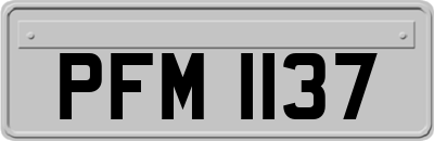 PFM1137
