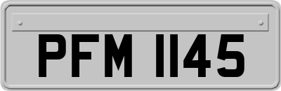 PFM1145