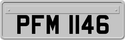PFM1146