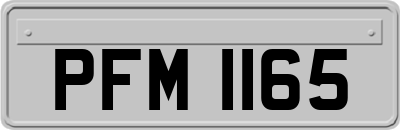PFM1165