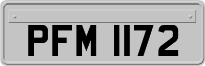 PFM1172