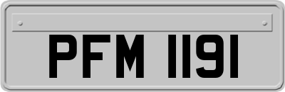 PFM1191