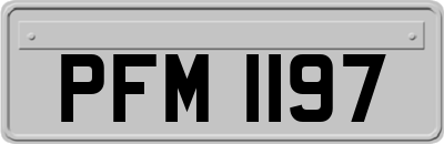 PFM1197