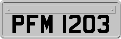 PFM1203