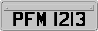 PFM1213