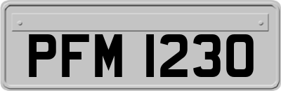 PFM1230