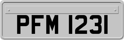PFM1231