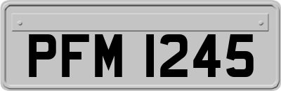 PFM1245