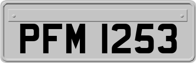PFM1253