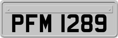 PFM1289