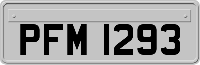 PFM1293