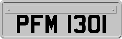 PFM1301
