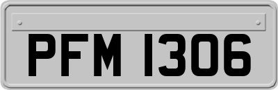 PFM1306